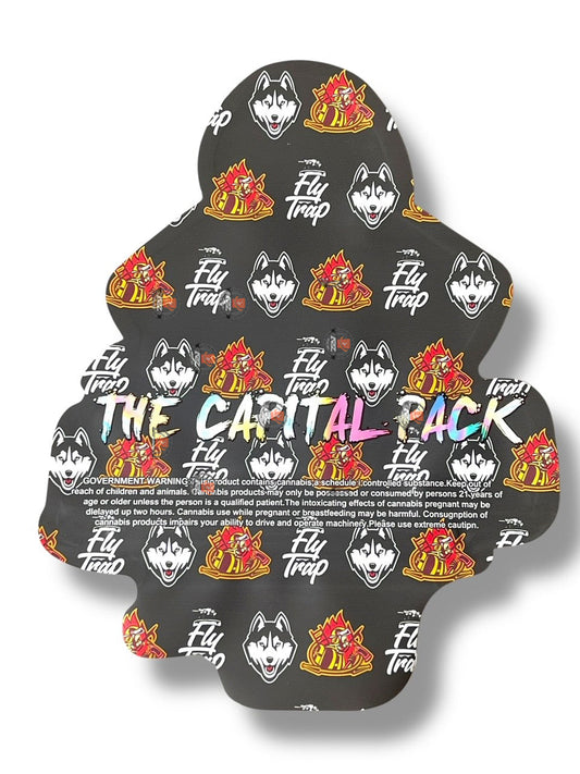 Gumbo Coach UNCONN 3.5g Mylar Bag- Packaging Only Connecticut Edition